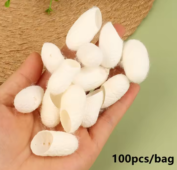 Cocons de soie naturelle visage blancs tenus dans une main pour soin de la peau